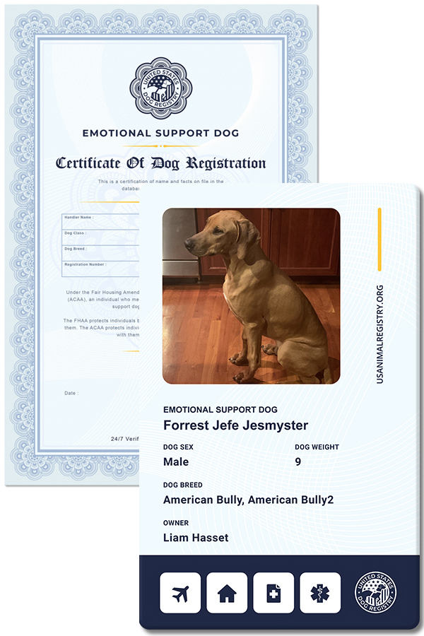 Update ID card and Certificate for Emotional Support Dog US Dog Registry